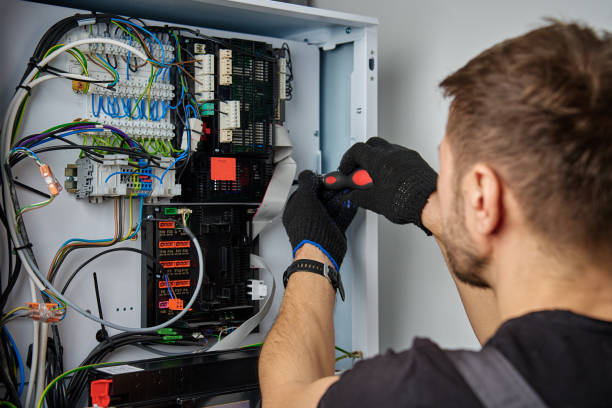 Licensed Electrical Panel Upgrade service in Baudette, MN - No Joke electrician